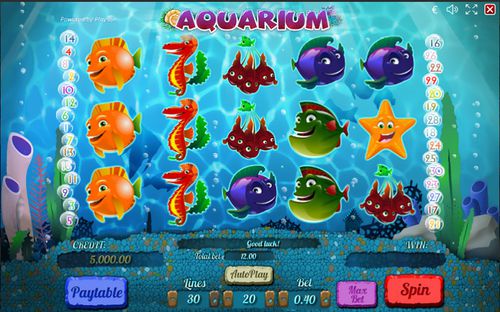 Aquarium demo Aquarium demo