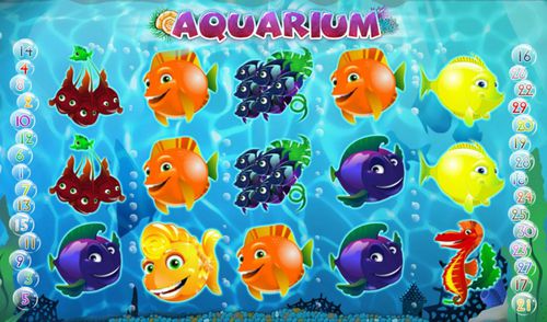 Aquarium slot Aquarium slot