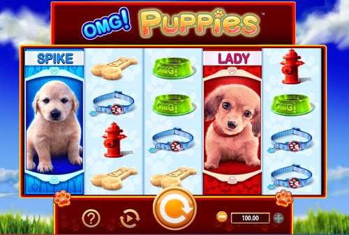 OMG! Puppies slot OMG! Puppies slot