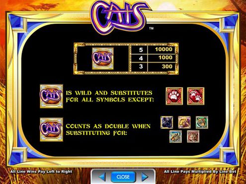 Cats free play Cats free play