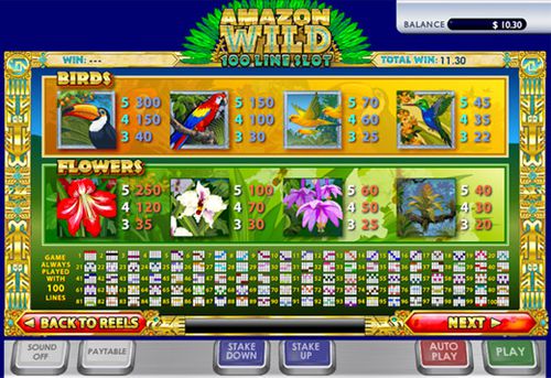 Amazon Wild free play Amazon Wild free play