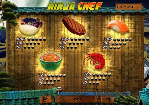 Ninja Chef free play Ninja Chef free play