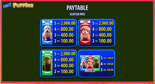 OMG! Puppies free play OMG! Puppies free play