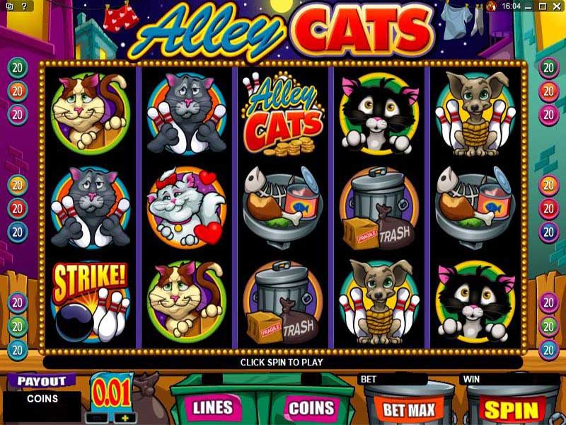 Alley cats slots free download