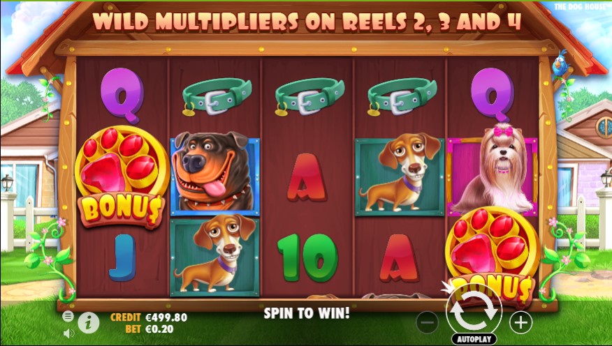 Play The Dog House Slot - Claim 100 Spins