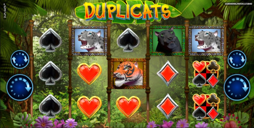 Duplicats demo Duplicats demo