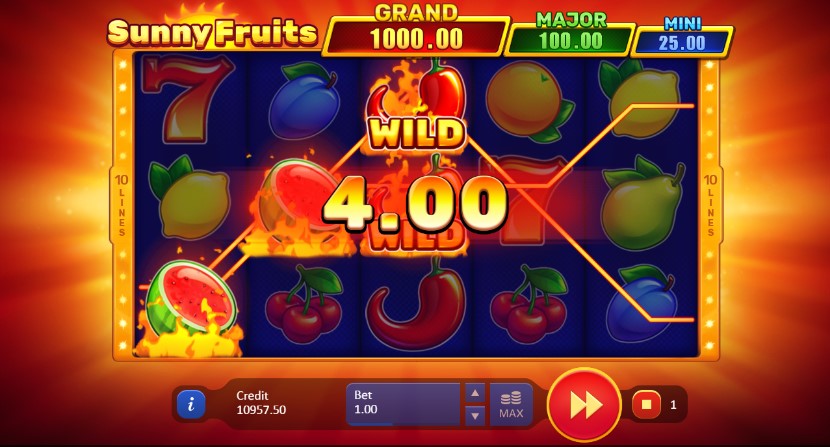 Sunny Fruits: Hold and Win demo Sunny Fruits: Hold and Win demo