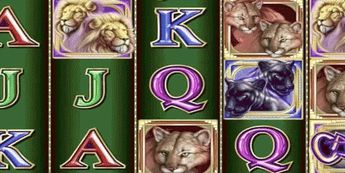 Cats demo Cats demo