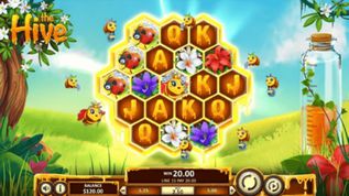 The Hive demo The Hive demo