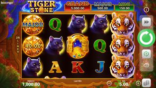 Tiger Stone: Hold and Win demo Tiger Stone: Hold and Win demo