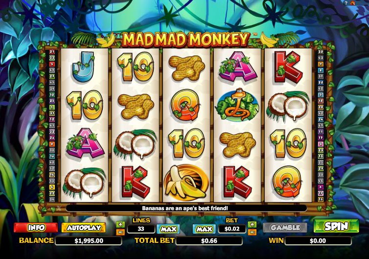Mad Mad Monkey Slot Mad Mad Monkey Slot