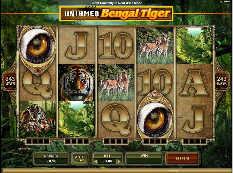 Untamed Bengal Tiger demo Untamed Bengal Tiger demo