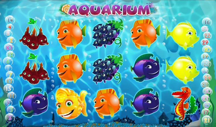 Aquarium slot Aquarium slot