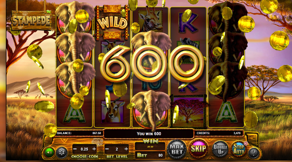 Stampede Slot Machine Online