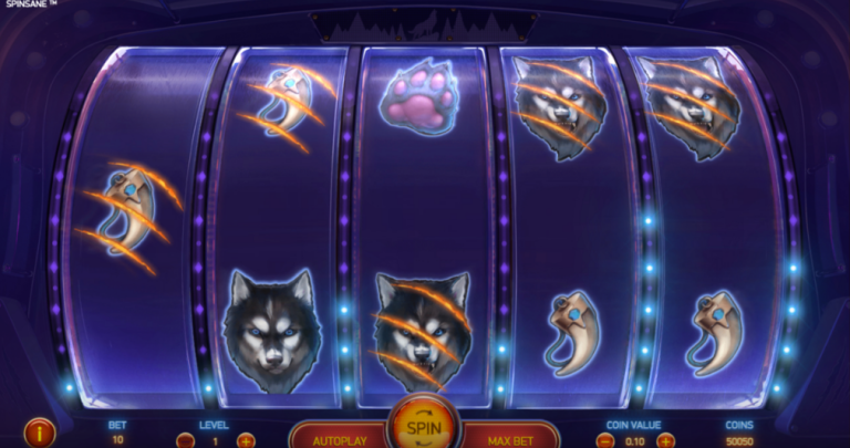 SpinSane slot SpinSane slot