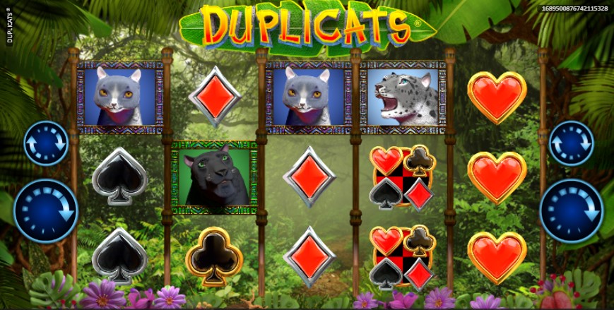 Duplicats slot Duplicats slot