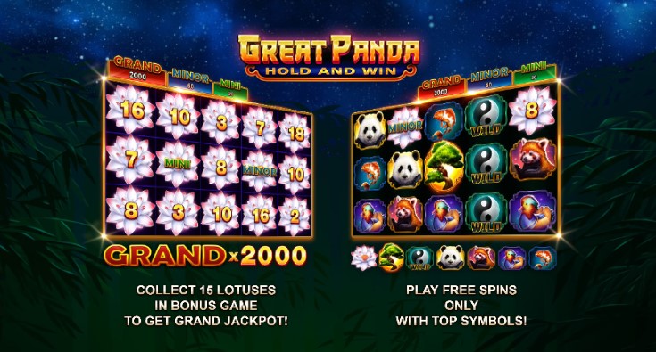 Great Panda Hold and Win slot Great Panda Hold and Win slot
