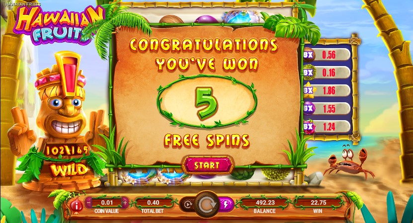 Hawaiian Fruits slot Hawaiian Fruits slot