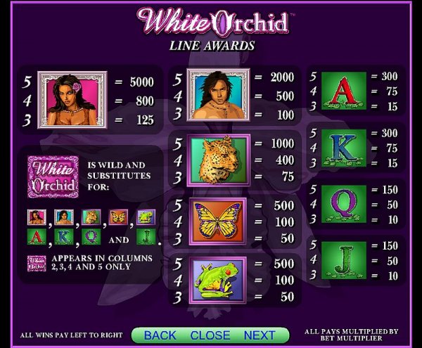White Orchid free play White Orchid free play