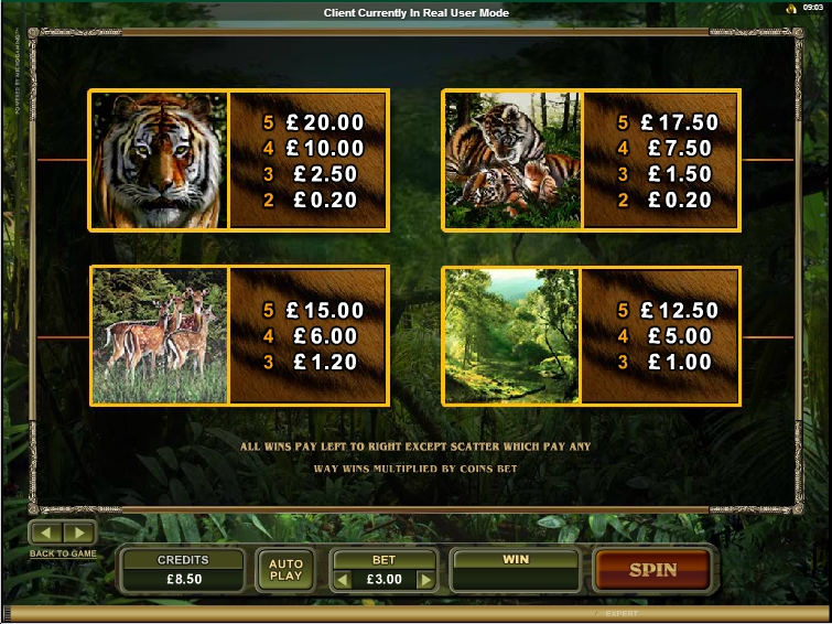 Untamed Bengal Tiger free play Untamed Bengal Tiger free play
