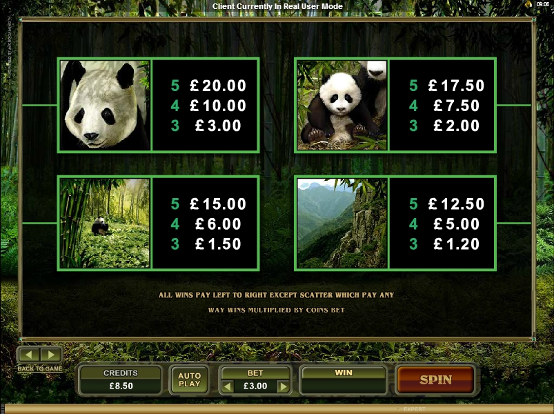Untamed Giant Panda free play Untamed Giant Panda free play