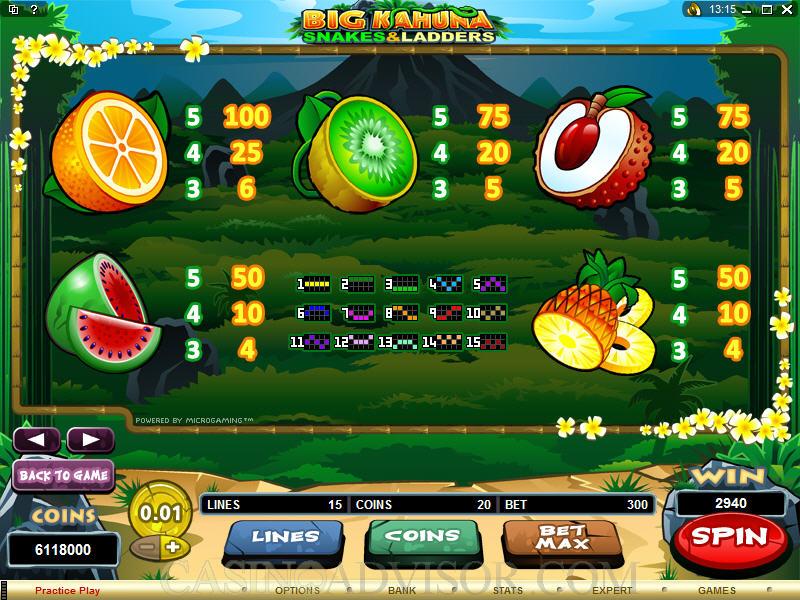 Big Kahuna Snakes And Ladders free play Big Kahuna Snakes And Ladders free play