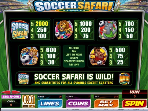 Soccer Safari free play Soccer Safari free play