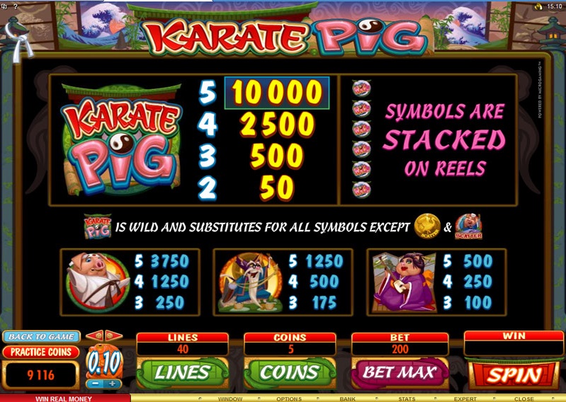 Karate Pig free play Karate Pig free play