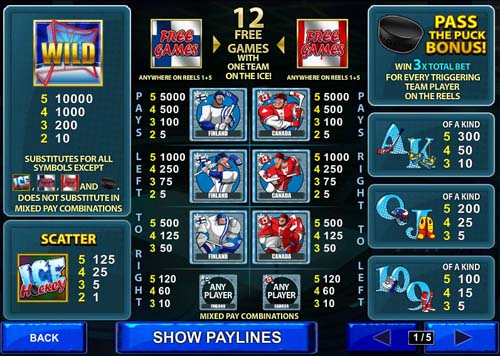Ice Hockey free play Ice Hockey free play