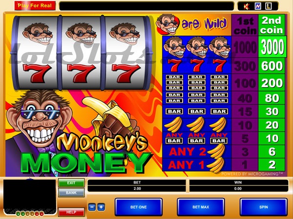 Monkeys Money free play Monkeys Money free play