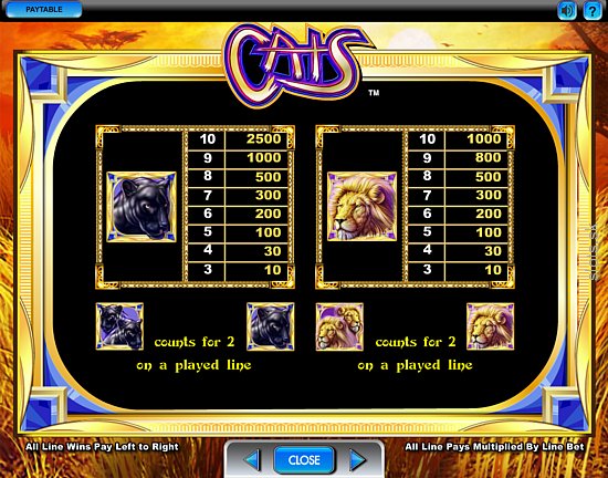 Cats free play Cats free play