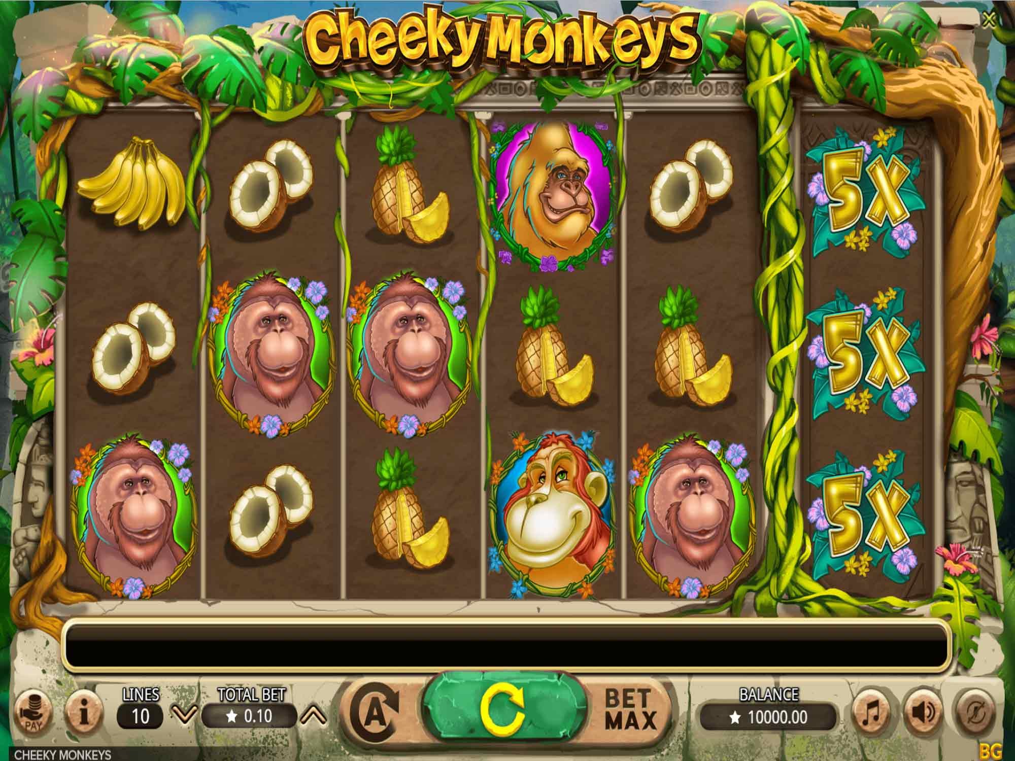 Cheeky Monkeys free play Cheeky Monkeys free play