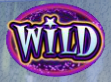 Cash Wizard Slot