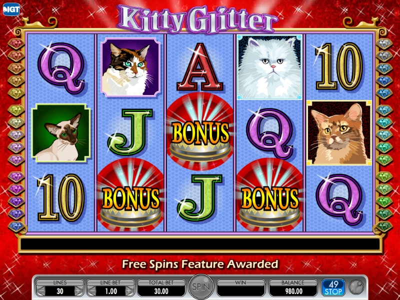 Naples Fort Myers Greyhound Racing & Poker Slot Machine